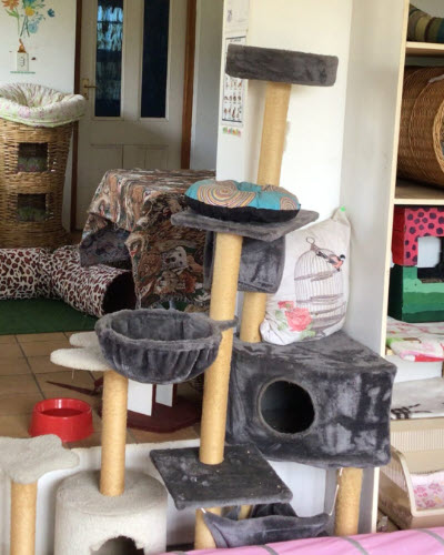 Happy Cat Hotel