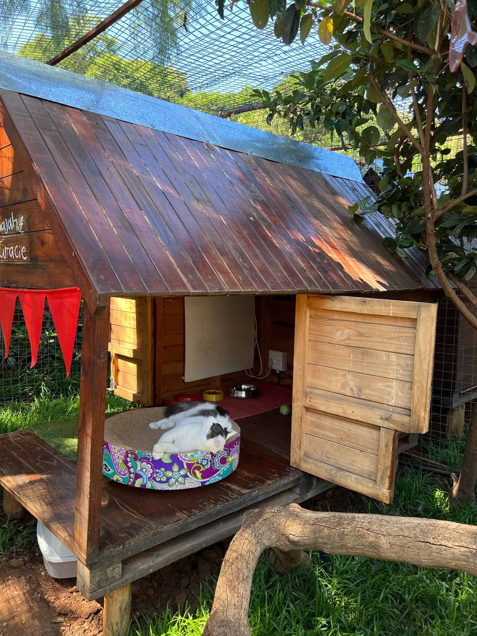 The Cat Hotel - Deluxe Garden Villas 31