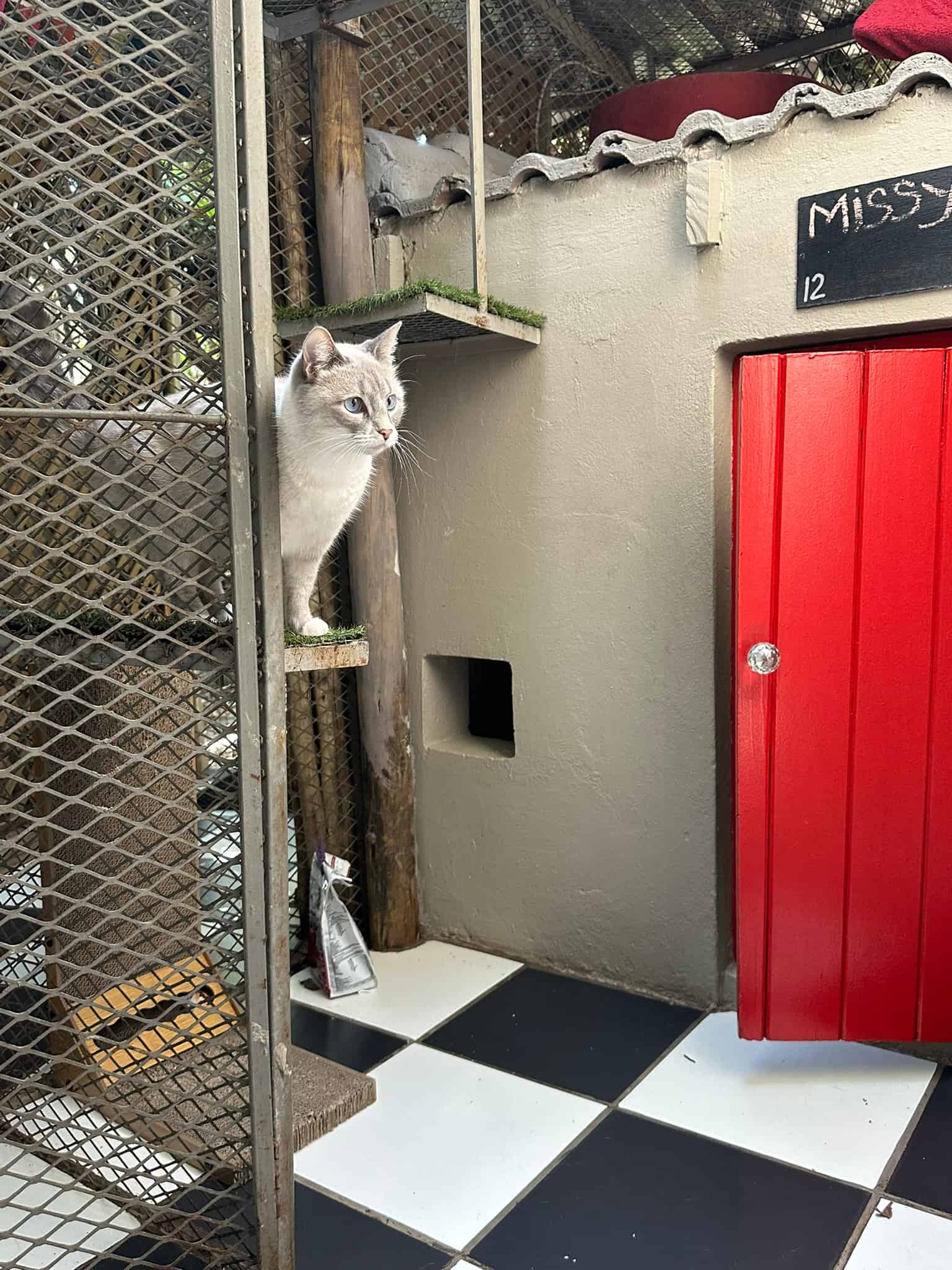 The Cat Hotel - Standard Indoor Villas - Featured